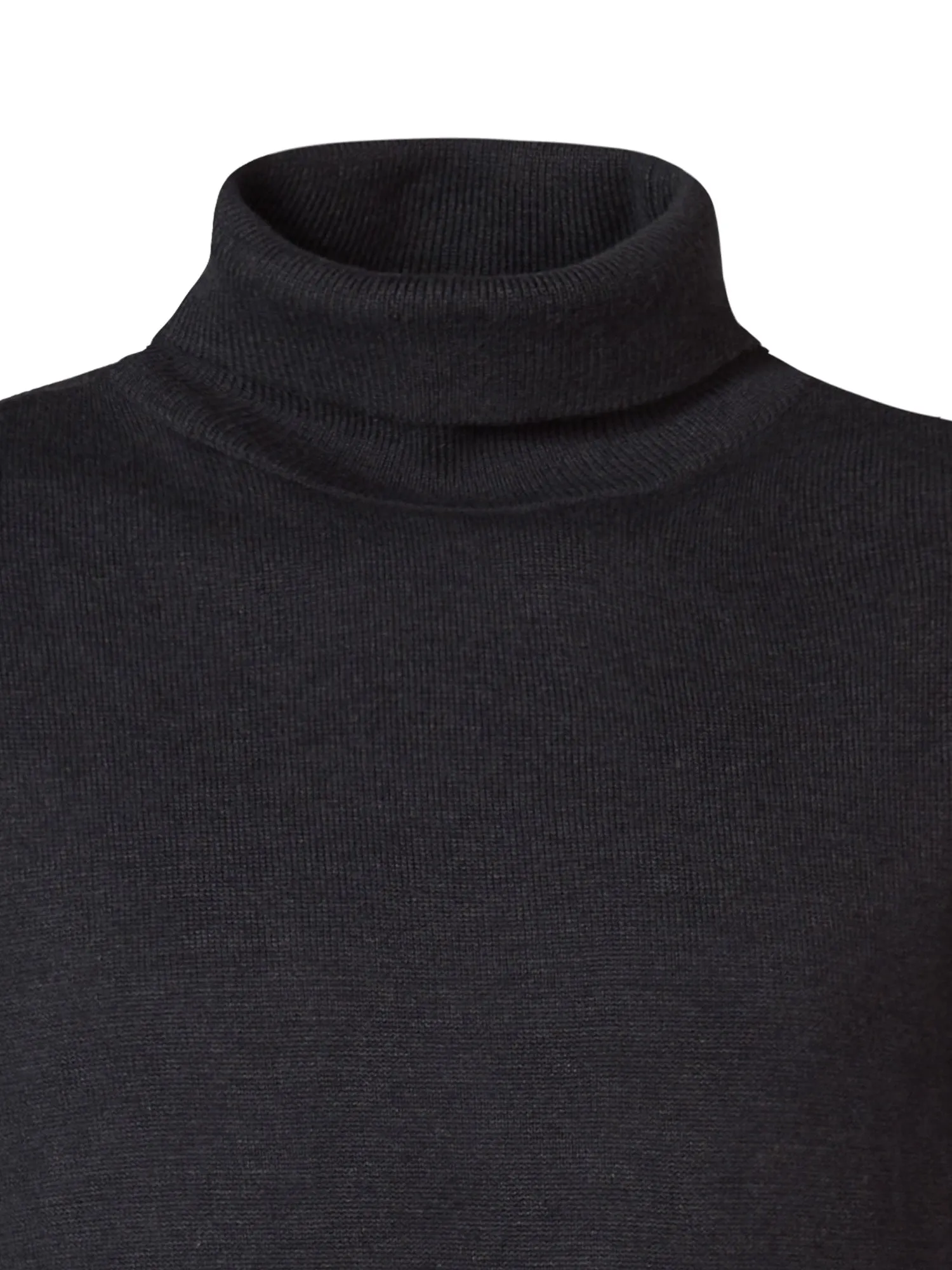 Fine-knit Turtleneck Wasilla