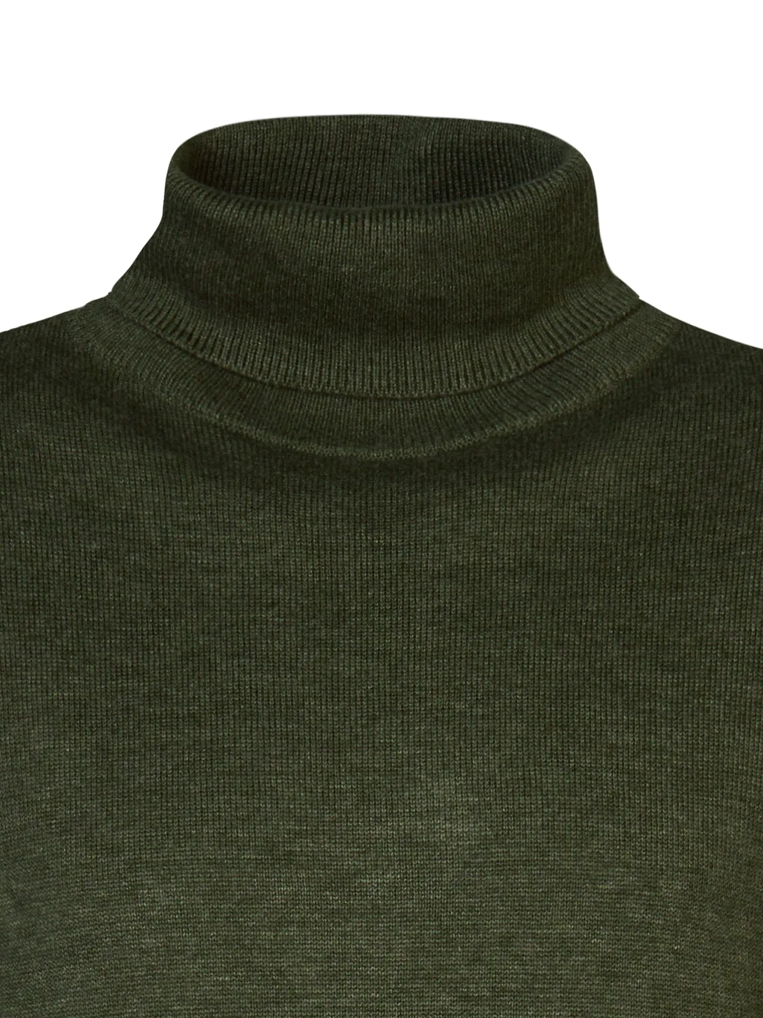 Fine-knit Turtleneck Wasilla