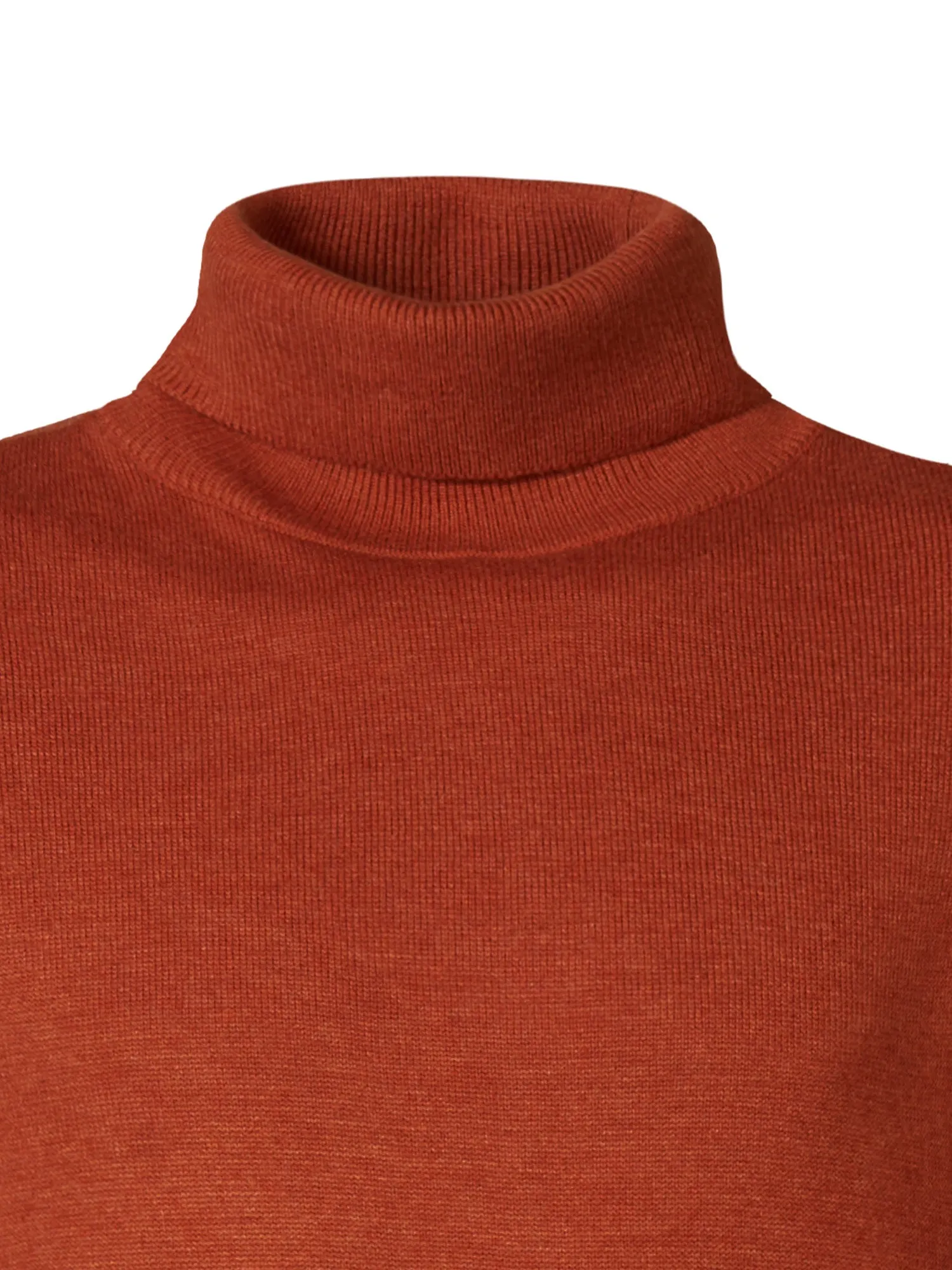 Fine-knit Turtleneck Wasilla