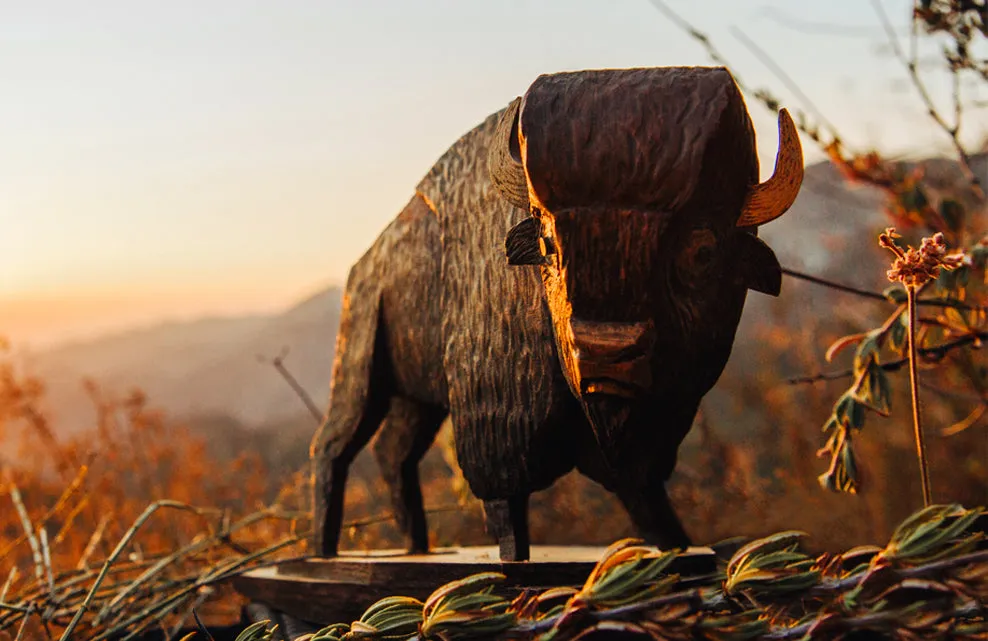 Whittle Bison Carving